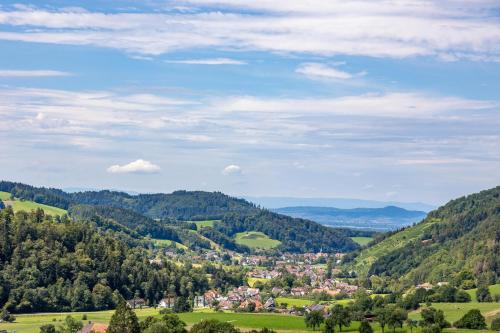 a town in a valley in the mountains at Hotel-Gasthaus Goldener Engel in Glottertal