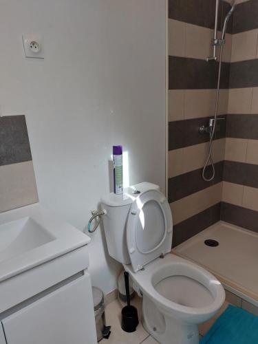 une salle de bain avec des toilettes blanches et une douche dans l'établissement STUDIO meublé, proche de la gare T12, à Longjumeau