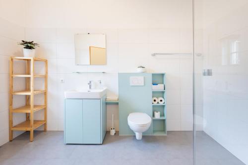 a bathroom with a toilet and a sink at Siebensternehaus in Steyr