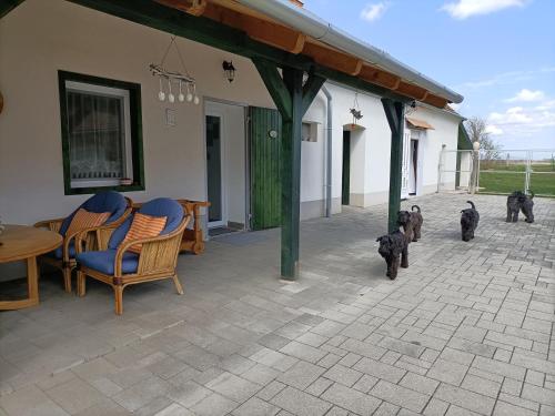 a group of black dogs standing on a patio at Ferienhaus Somloi Sellö in Somlószőlős