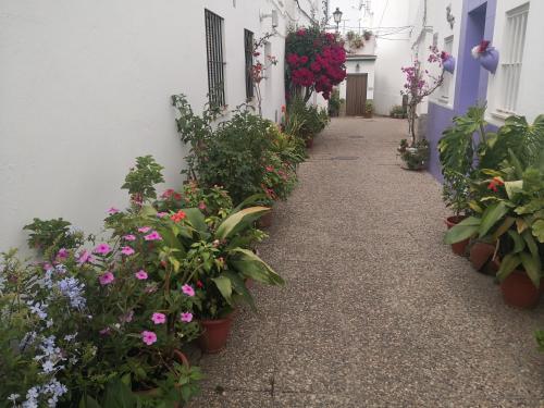 Zahrada ubytování CORAZÓN DE CONIL