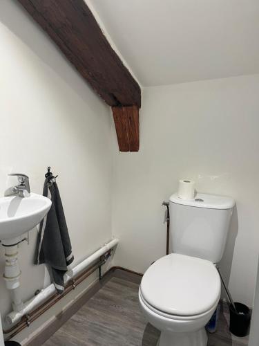 uma casa de banho com um WC e um lavatório em Appartement centre historique em Blois