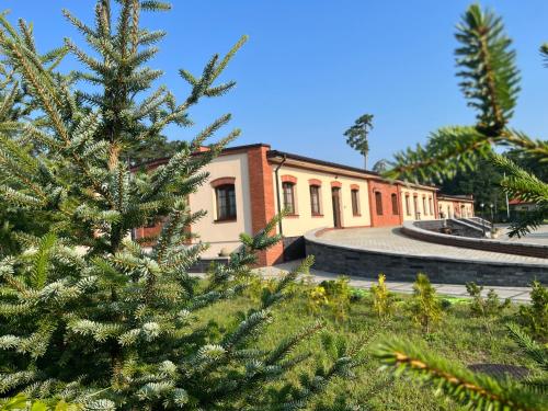 a christmas tree in front of a building at Spalskie Pokoje Gościnne in Spała
