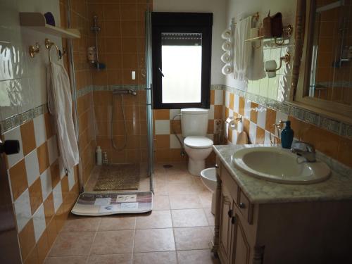 a bathroom with a shower and a sink and a toilet at Los Parrales in San Pablo de los Montes