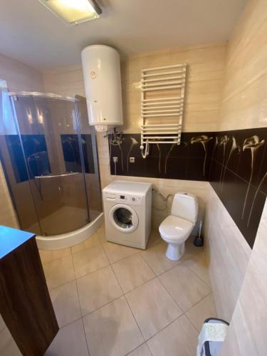 a bathroom with a toilet and a shower and a sink at Ranczo Słajszewo in Słajszewo