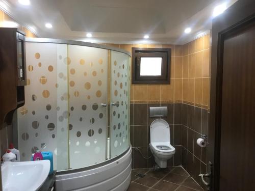 W łazience znajduje się prysznic, toaleta i umywalka. w obiekcie Hera Sultanahmet w Stambule