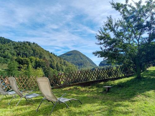 three chairs sitting in the grass in front of a fence at Les Sapins in Bussang