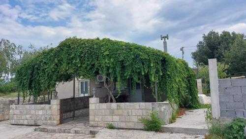 a building covered in ivy in front of a fence at Apartments Airport Golubovci 2 in Podgorica