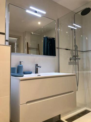 une salle de bain avec un lavabo et une douche avec un miroir dans l'établissement DOMAINE D'ARCA, T2 JARDIN PRIVE/PISCINE/TENNIS, à Porto-Vecchio