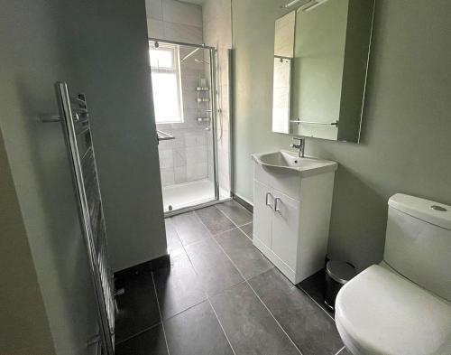 a bathroom with a toilet and a sink and a shower at Donegal Town House in Donegal