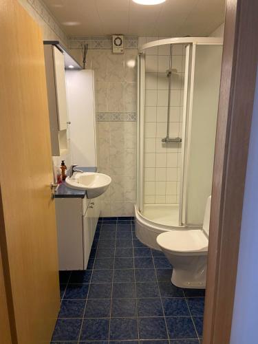 a bathroom with a sink and a toilet and a shower at Akureyri Backpackers in Akureyri