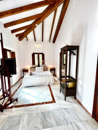 a bedroom with a bed and a tv in a room at Hotelito Suecia in Granada