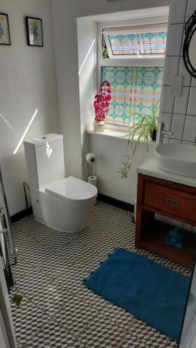 uma casa de banho com um WC, um lavatório e uma janela em Janitor's Lodge em Ticehurst