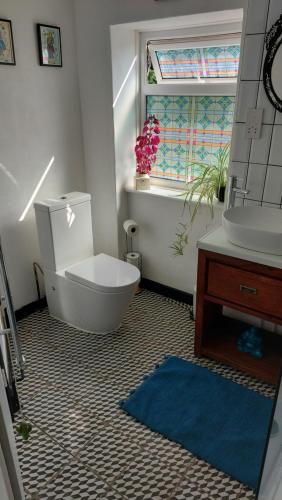 a bathroom with a toilet and a sink and a window at Janitor's Lodge in Ticehurst