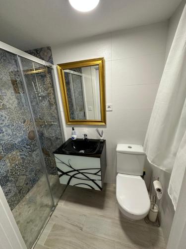 ein Bad mit einem WC, einem Waschbecken und einer Dusche in der Unterkunft Apartamentos Redondela in Madrid