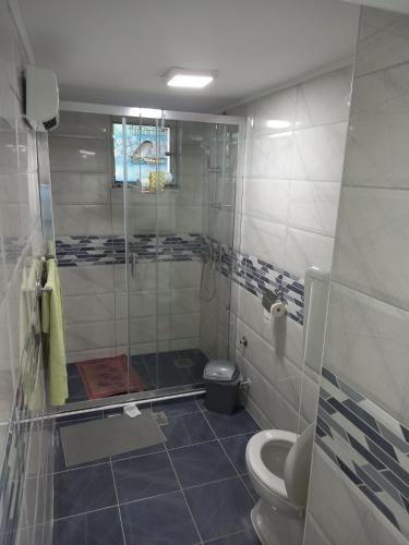 a bathroom with a shower and a toilet at Apartmani Pasuljevic Srebrno Jezero in Veliko Gradište