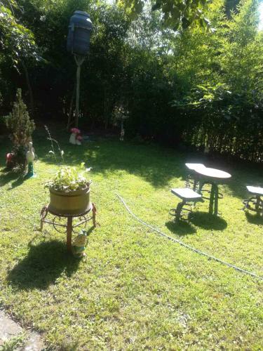 a yard with two tables and a potted plant at Apartmani Pasuljevic Srebrno Jezero in Veliko Gradište