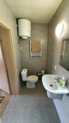 a bathroom with a toilet and a sink at Tawerna Rataje Pokoje Gościnne in Chodzież