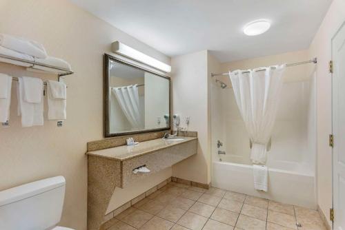 een badkamer met een wastafel, een bad en een spiegel bij Comfort Inn & Suites in Dover