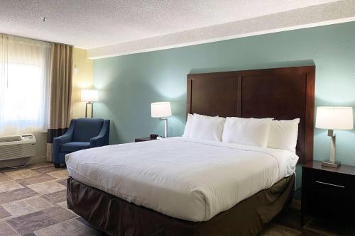 a hotel room with a large bed and a blue wall at Wyndham Garden Newark Fremont Silicon Valley in Newark
