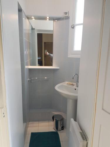 une petite salle de bain avec un lavabo et un miroir dans l'établissement Studio près de la tour Eiffel, à Paris