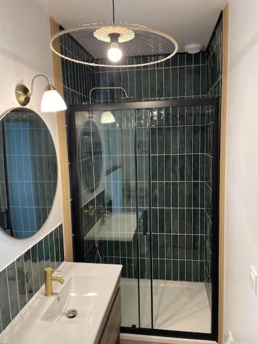 une salle de bain avec une douche, un lavabo et un miroir dans l'établissement Studio au bord de l'eau, à Saint-Seurin-de-Bourg