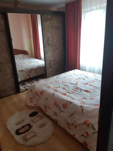 1 dormitorio con cama y espejo en Eva apartment, en Suceava