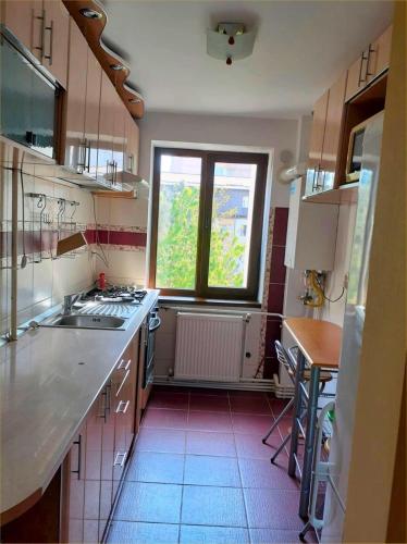 cocina con fregadero y ventana en Eva apartment, en Suceava