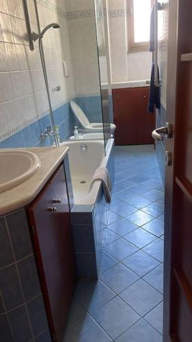 Nice flat in Furio Camillo