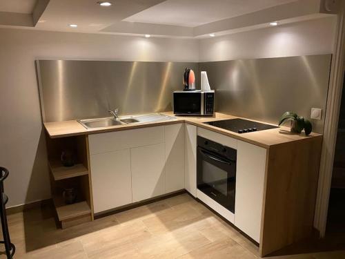 une cuisine avec un comptoir avec un évier et un micro-ondes dans l'établissement Guest house privée, à Ézanville