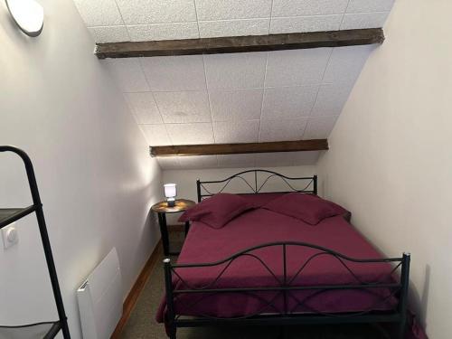 een slaapkamer met een bed met paarse lakens en een plafond bij T2 avec jardin au calme,parking privé in Buchelay