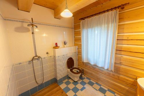 a bathroom with a toilet and a shower in it at Moderní šumavská roubenka s výhledem na Boubín in Vimperk