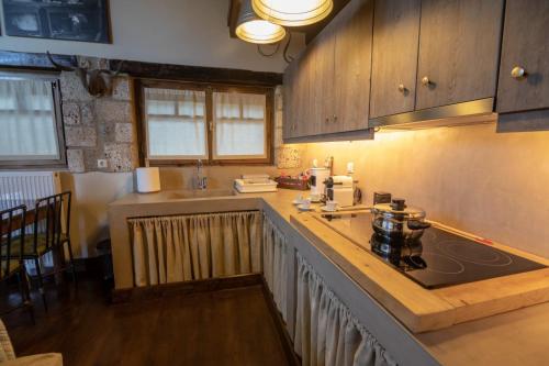 cocina con encimera y fogones horno superior en Forest Lodge en Sinevrón