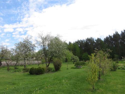 un campo de césped verde con árboles y arbustos en Cozy apartment near the airport en Riga