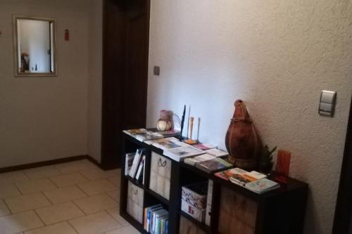 une chambre avec une étagère et des livres sur elle dans l'établissement Chez Mamilou, à Soufflenheim