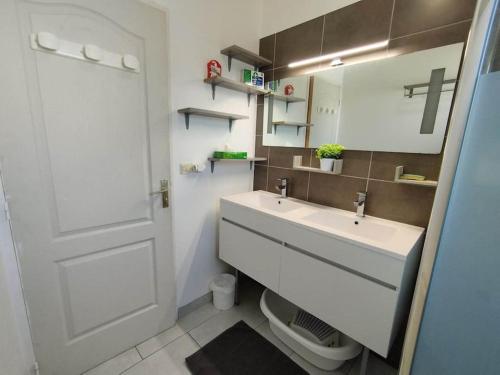 ein Badezimmer mit einem weißen Waschbecken und einem Spiegel in der Unterkunft Maison chaleureuse, 35 minutes du zoo in La Chapelle-Montmartin