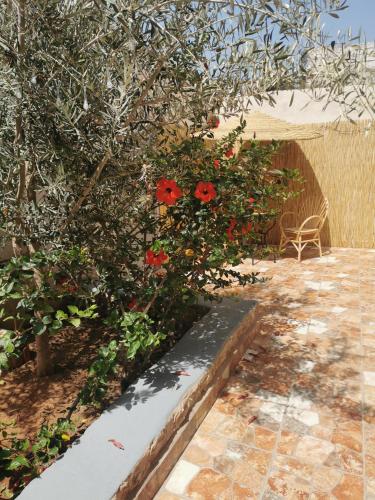 une brousse avec des fleurs rouges dans un jardin dans l'établissement Chez Marie, à Al Ghar