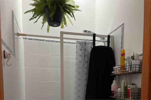 baño con cortina de ducha y planta en Casa El Nogal en Los Pandos