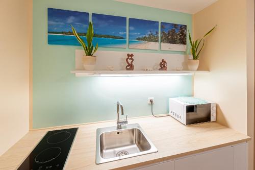 una cocina con fregadero y microondas en una encimera en Beach Design City Apartment Graz en Graz