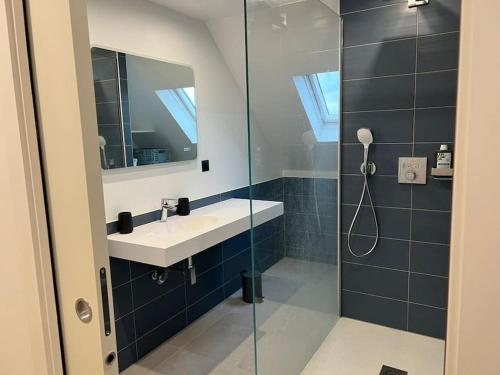 une salle de bain avec un lavabo et une douche en verre dans l'établissement LE DONJON Classé 4 étoiles Appartement 120 m2 5mn Centre Ville Au Calme, à Strasbourg