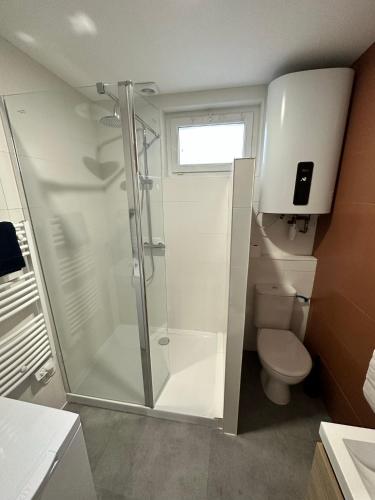 une salle de bain avec douche et toilettes dans l'établissement Appartement T3 cosy et moderne, à Baugé