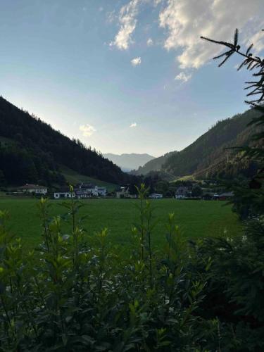 a large green field with mountains in the background at Naturparadies Nähe Grüner See in Oberdorf