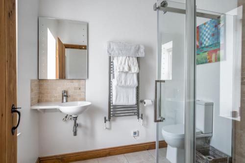 ein Badezimmer mit einem Waschbecken, einem WC und einem Spiegel in der Unterkunft Kilnmark Bothy in Thornhill
