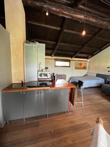 a kitchen with a counter and a room with a bed at Casa del Bosco in Busca