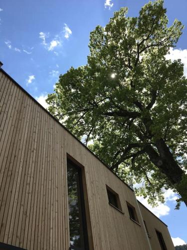 a tree next to a building with a window at KampenZeit Loft mit traumhaftem Panoramablick in Aschau im Chiemgau