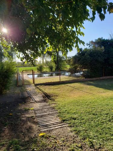 LAS CASUARINAS – Photos 5