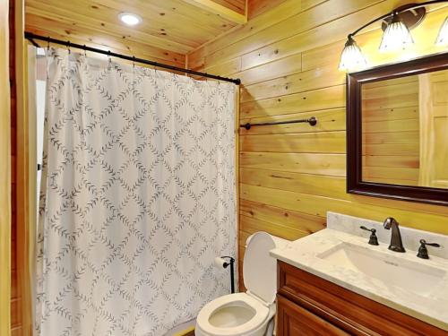 a bathroom with a toilet and a sink and a mirror at Alpine Valley in McHenry