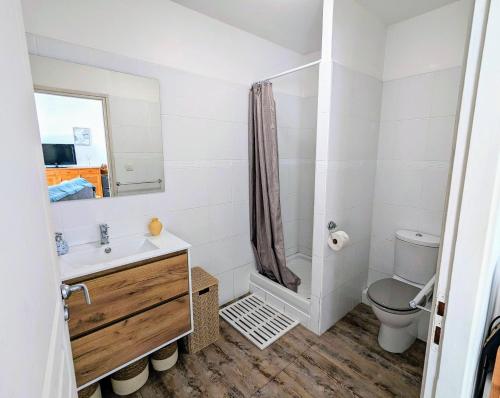 La salle de bains est pourvue de toilettes, d'un lavabo et d'une douche. dans l'établissement Sunset Océan - appartement T2 avec vue imprenable sur l'océan et piscine, à Saint-Gilles les Bains