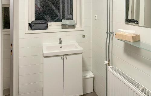 un bagno bianco con lavandino e finestra di Nice Home In Schoonloo With Wifi a Schoonloo