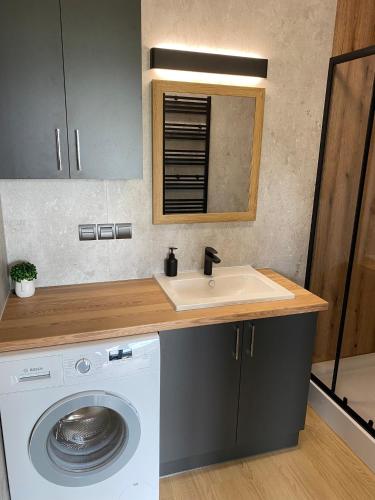 a bathroom with a sink and a washing machine at Love Wysove in Wysowa-Zdrój